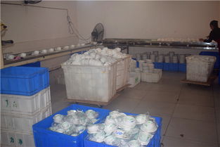 內江市東興區力凈消毒餐具配送中心 專業消毒，優質服務，守護健康