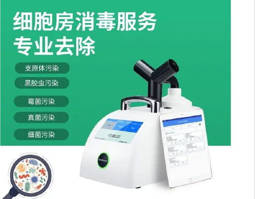 生物實(shí)驗(yàn)室細(xì)胞培養(yǎng)間的污染防控與專業(yè)消毒服務(wù)