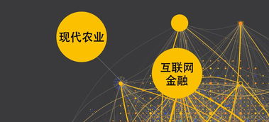 淺析互聯網環(huán)境下的農業(yè)金融發(fā)展模式與互聯網數據服務
